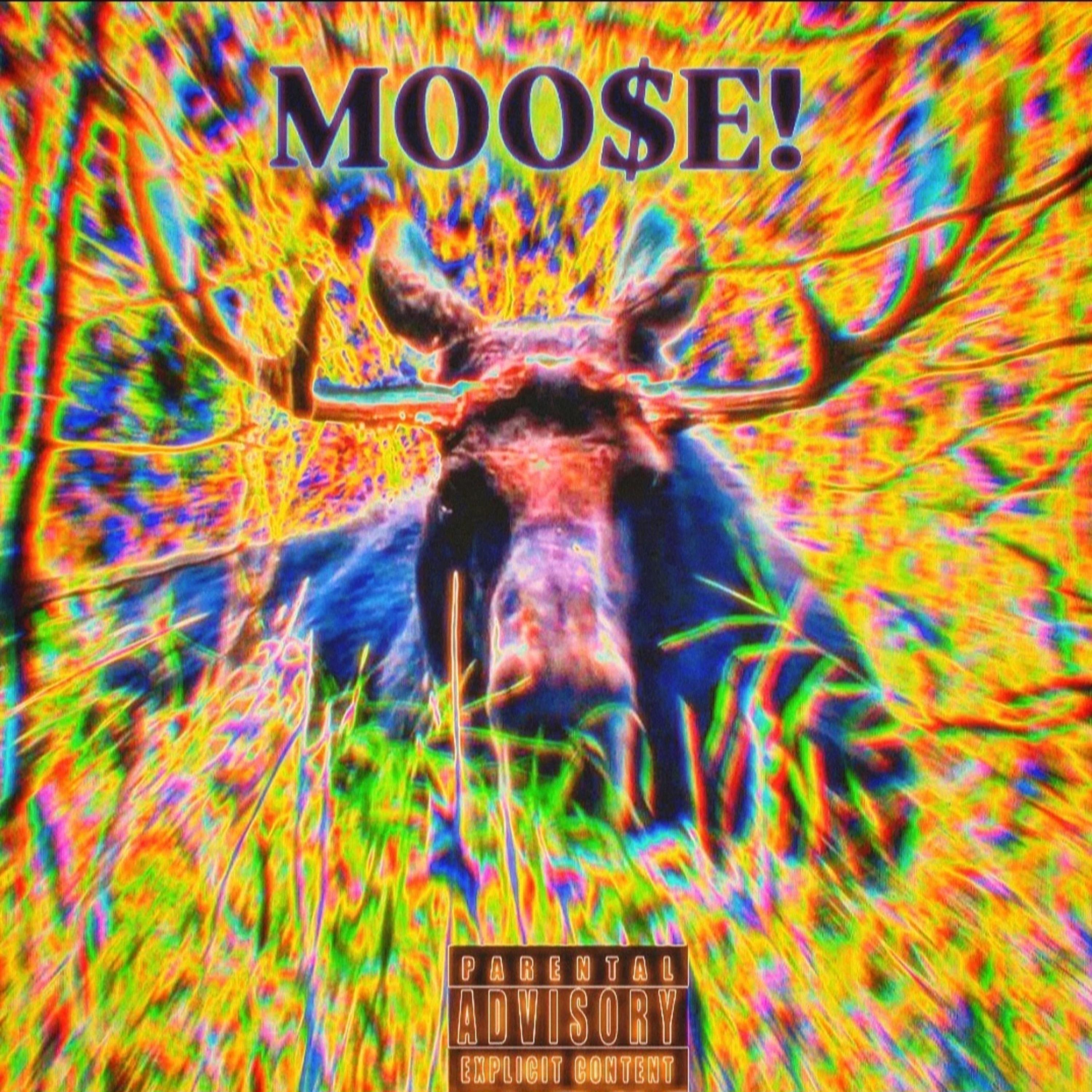 MOOSE!