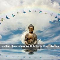 Ambient Sleepers New Age Melodies for Concentration