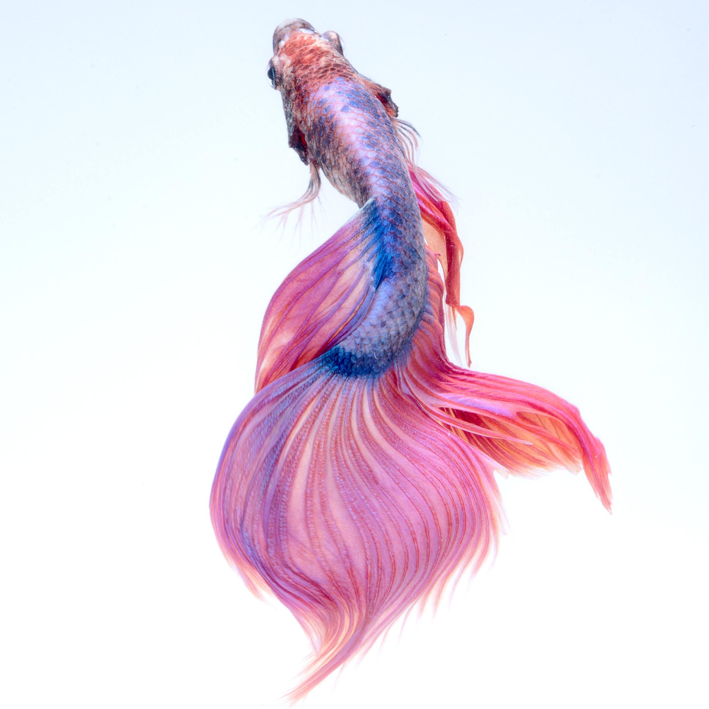 【FREE】L.O.V.E | HAPPY TYPE BEAT