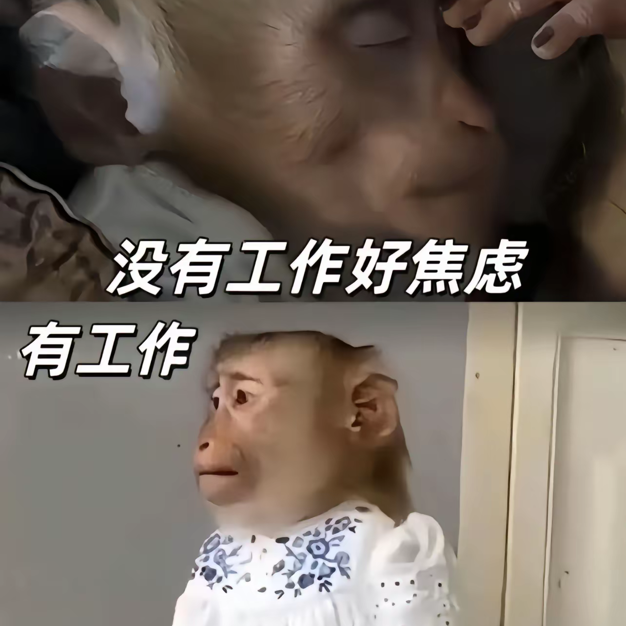 苔藓酸涩封面