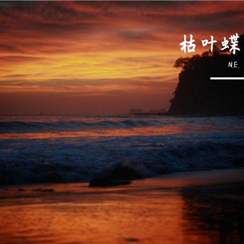 枯叶蝶封面