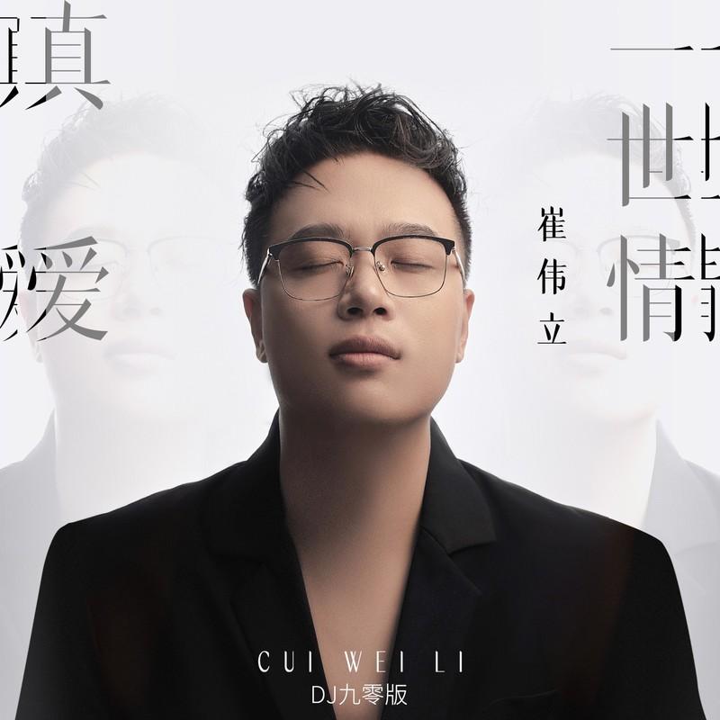真爱一世情 (DJ九零版) - 崔伟立封面