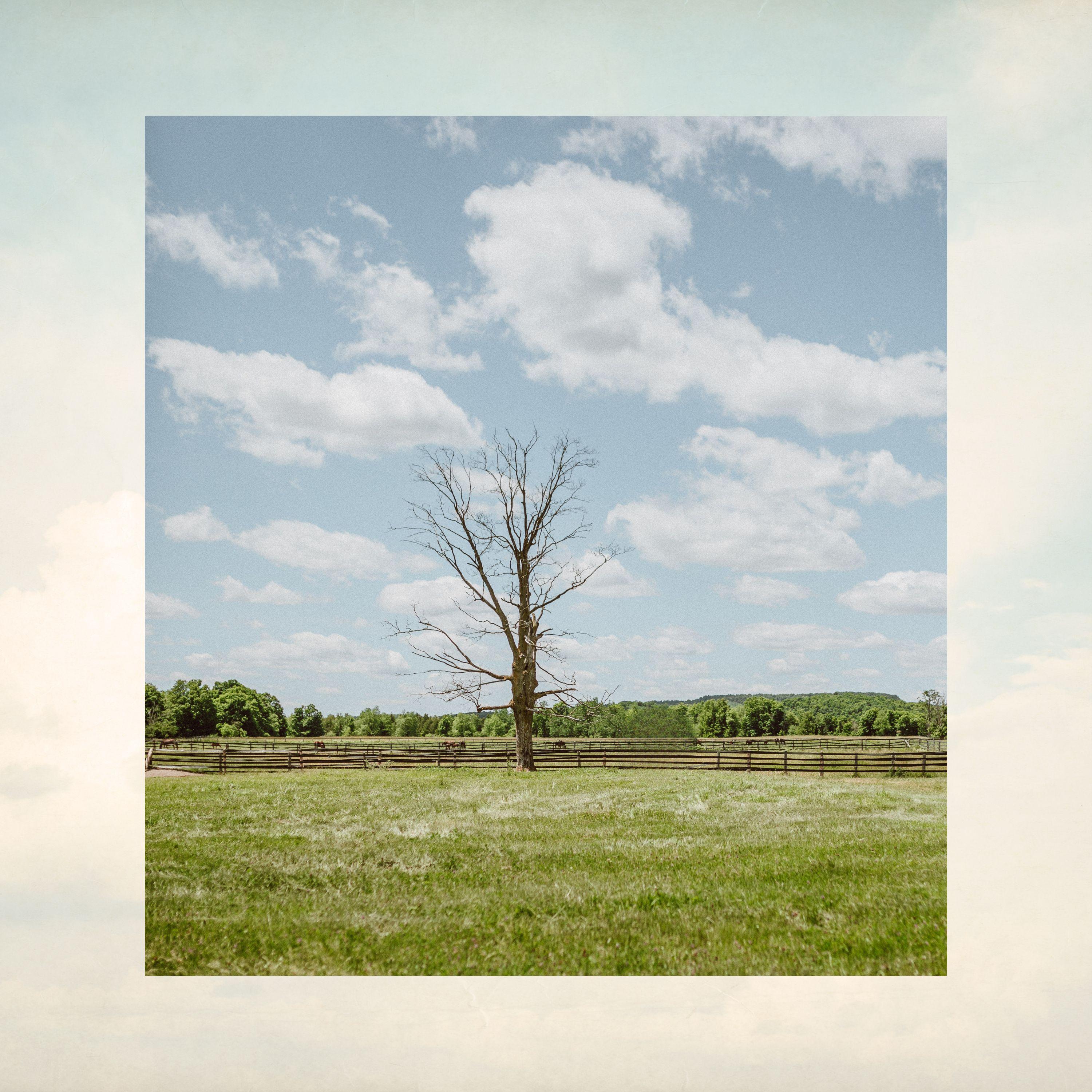 Before the Night Ends