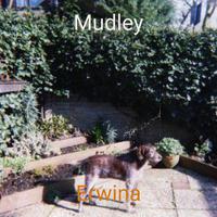 Mudley