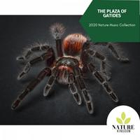 The Plaza Of Gatides- 2020 Nature Music Collection