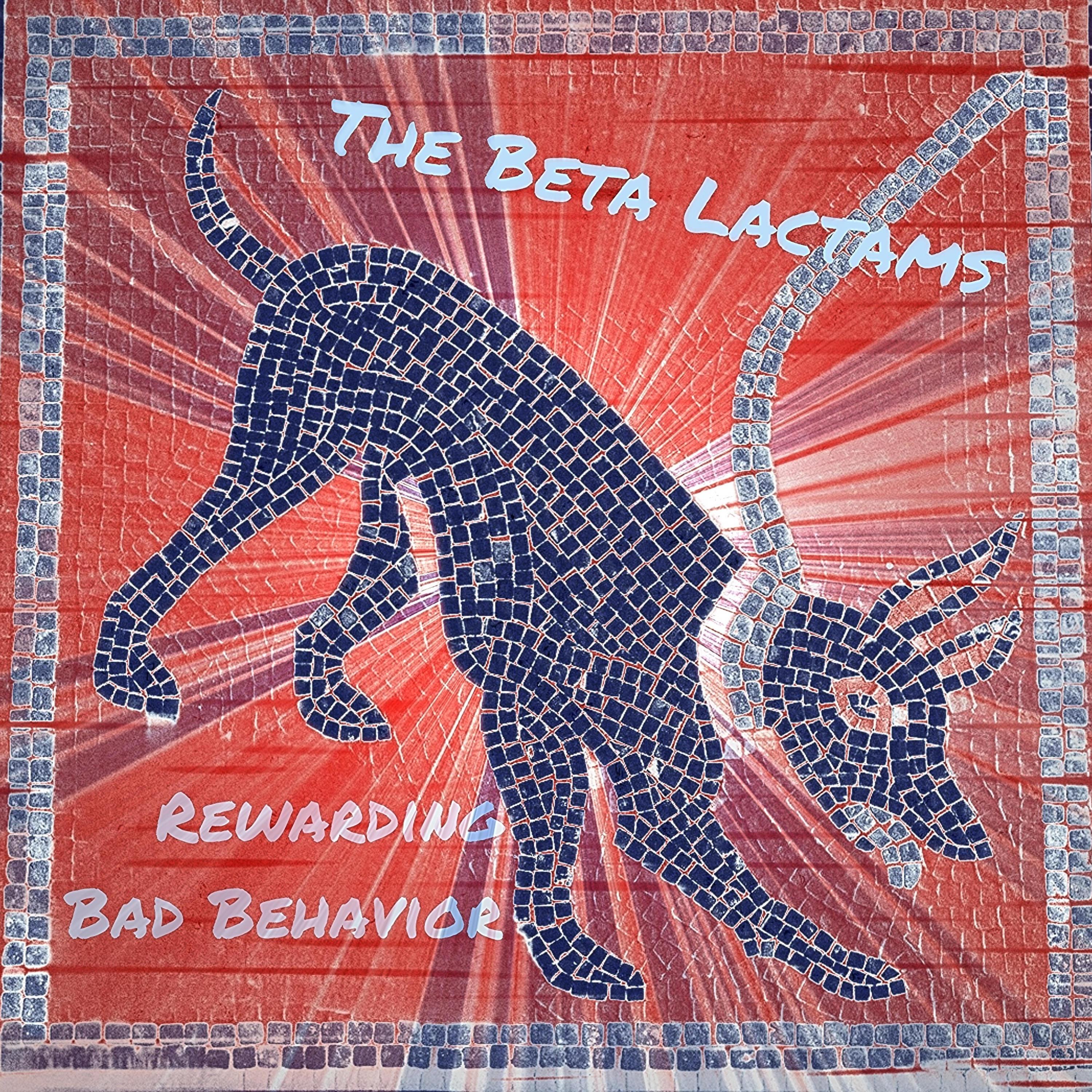 Rewarding Bad Behavior