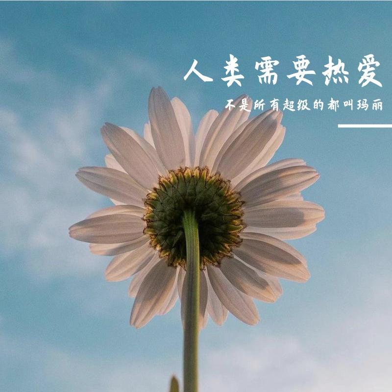 陈逸伦的解放西封面