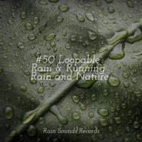 #50 Loopable Rain & Running Rain and Nature