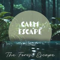 Calm Escape