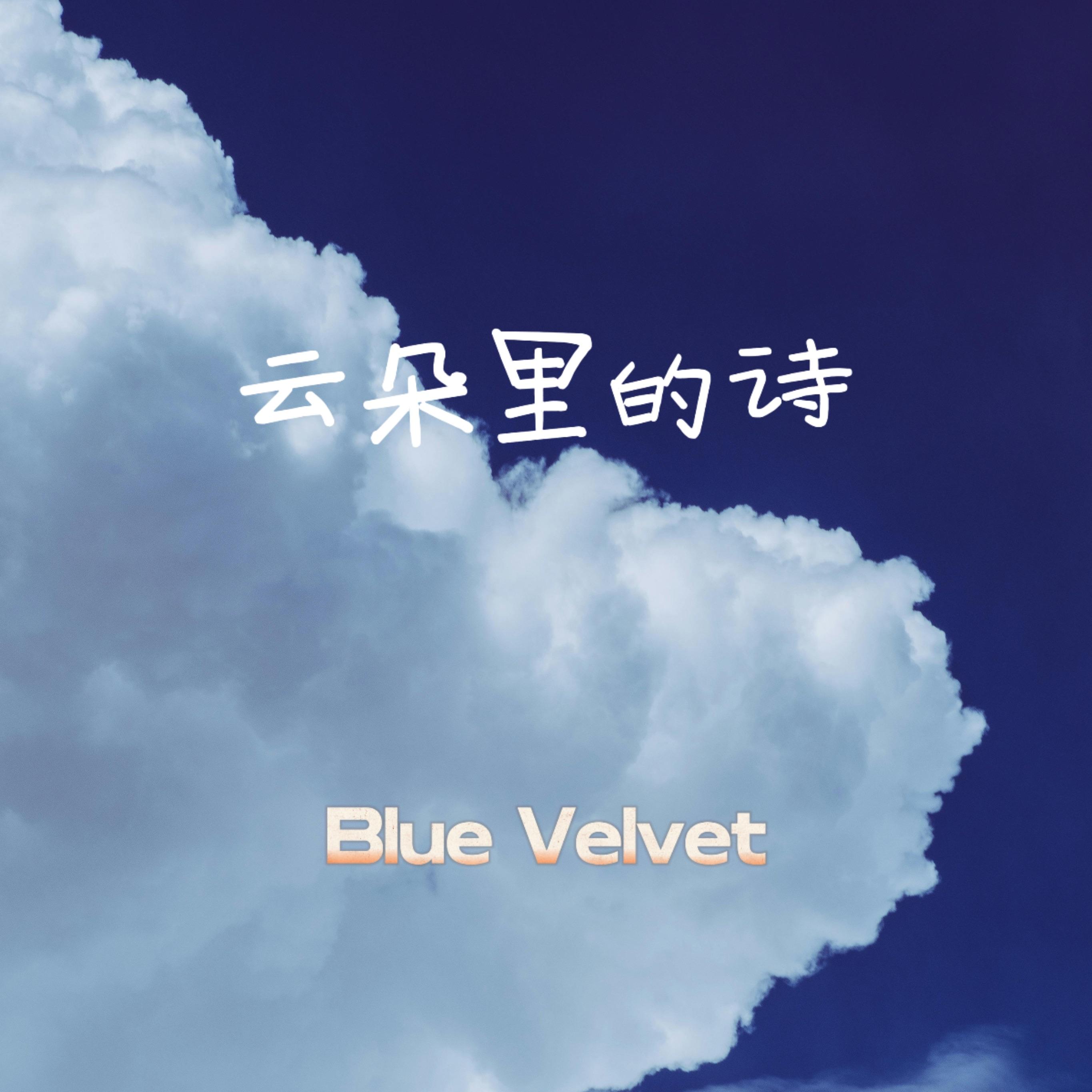 理想情人 - Blue Velvet封面