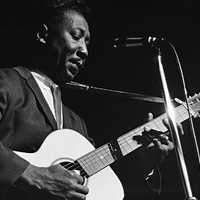Muddy Waters