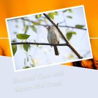 Binaural Tones with Nature Bird Sound - 3 Hours