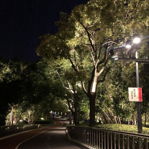下完这场雨封面