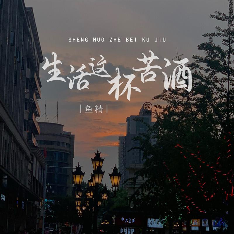 生活这杯苦酒 (DJ默涵版伴奏)封面