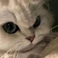 Jelly资料,Jelly最新歌曲,JellyMV视频,Jelly音乐专辑,Jelly好听的歌