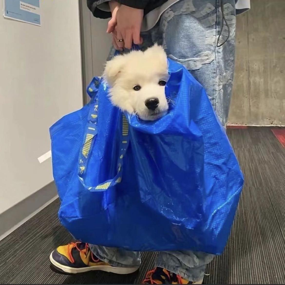 永恒孤独封面