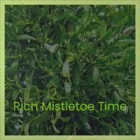 Rich Mistletoe Time