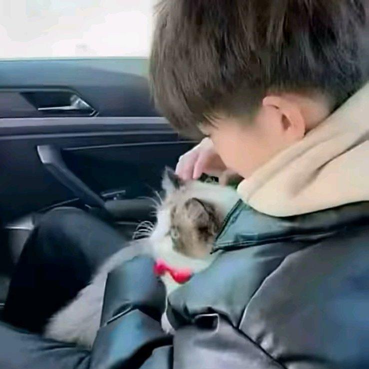 相识即万幸封面