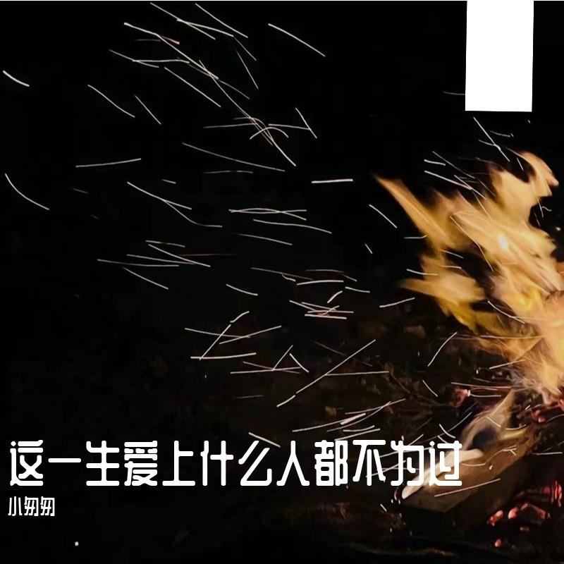 这一生爱上什么人都不为过（完整女版）封面