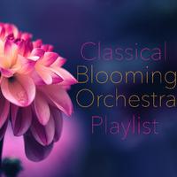 Classical Blooming Orchestra Playlist