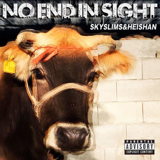 舞其月（noendinsight）