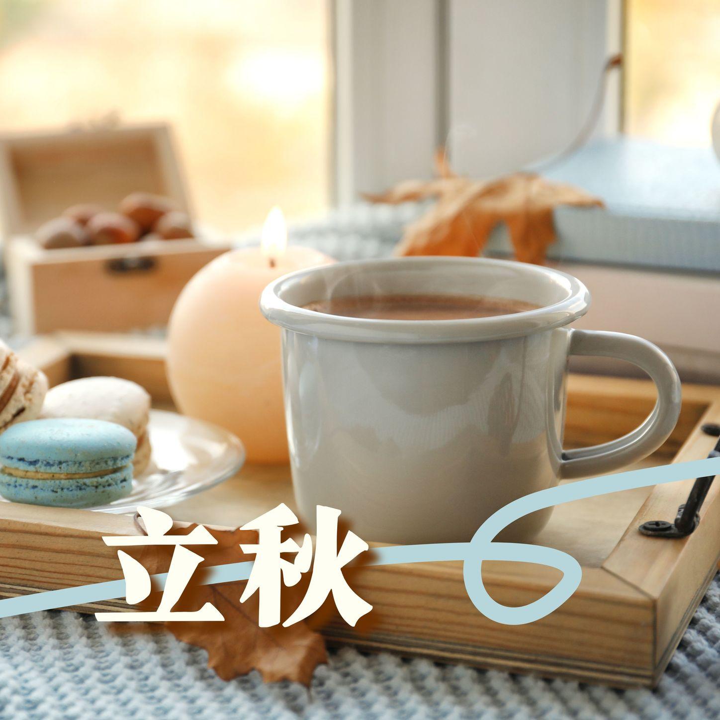 天使的声音封面