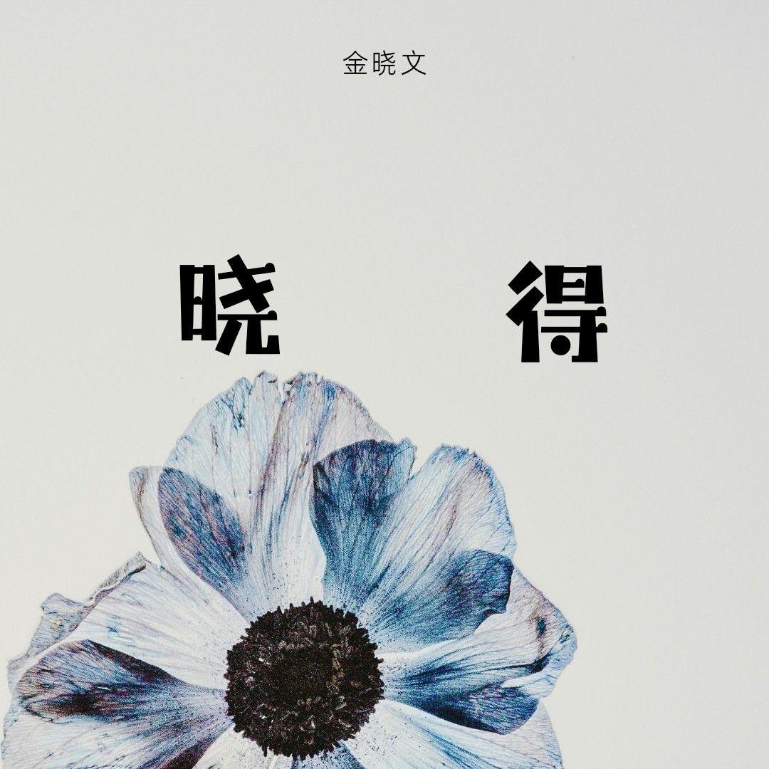 晓得封面