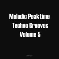 Melodic Peaktime Techno Grooves Vol. (5)