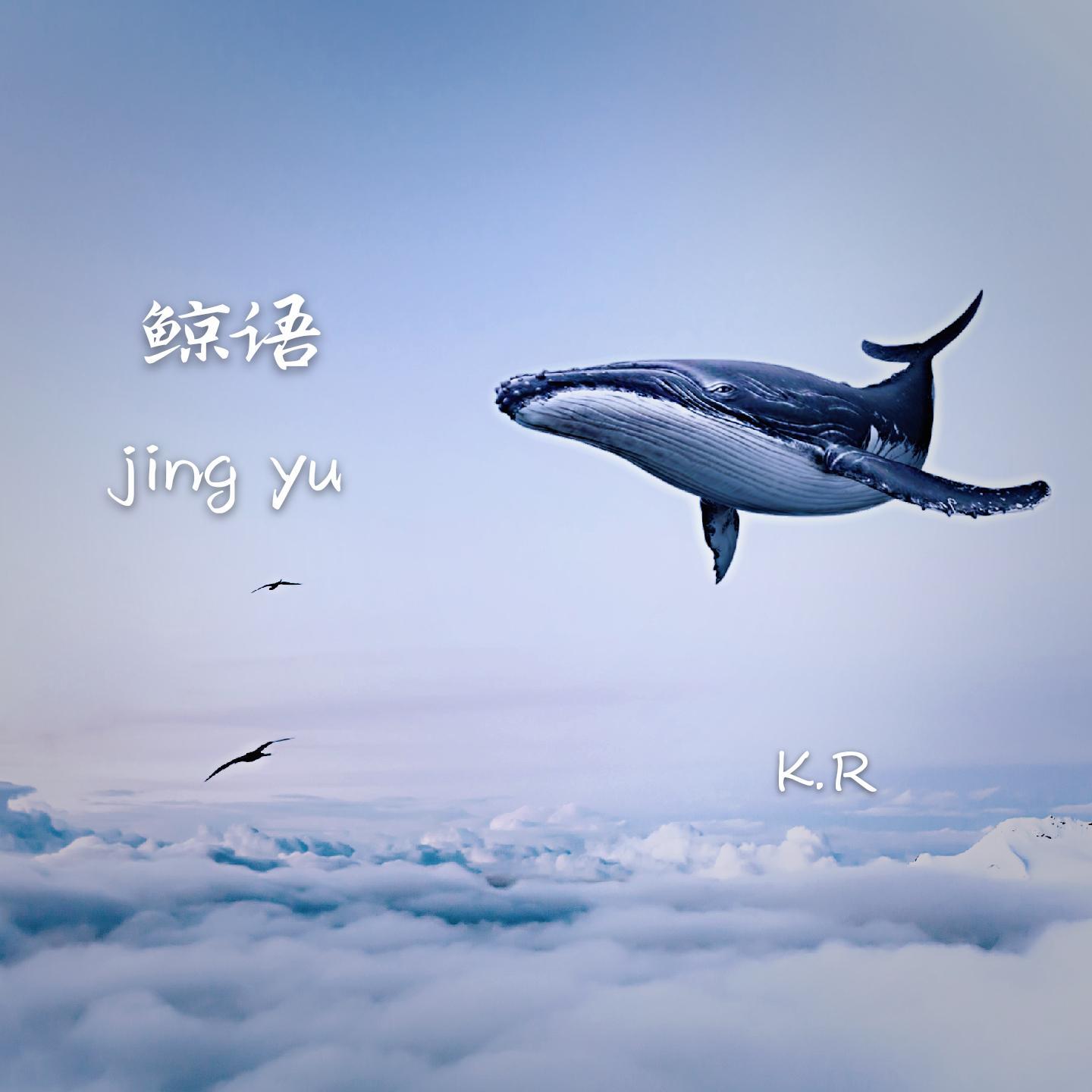 鲸语封面