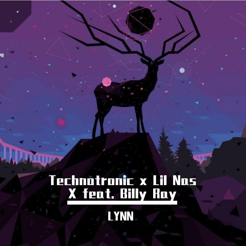 Lil Nas X-Old Town Road（LYNN remix）