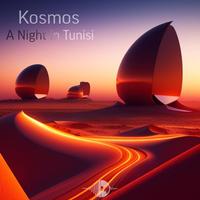 A Night in Tunisi