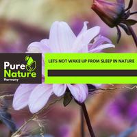 Lets Not Wake Up From Sleep In Nature
