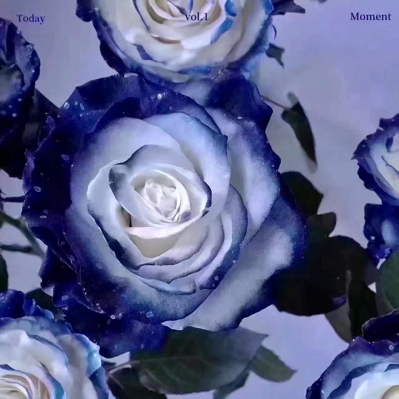 no night（Prod by Nino）