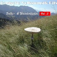 Deutsche Volksmusik Hits - Volks- & Wanderlieder, Vol. 3