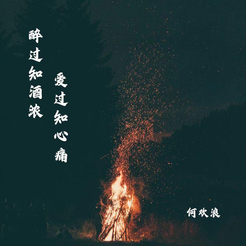 醉过知酒浓 爱过知心痛 - 何欢浪封面
