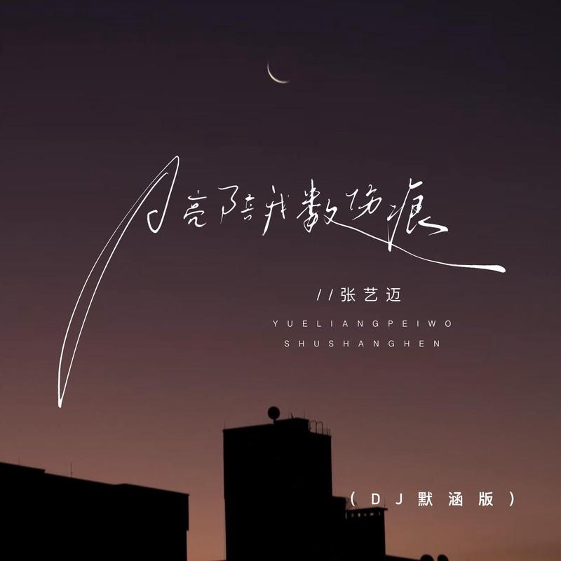 月亮陪我数伤痕 (DJ默涵版)封面