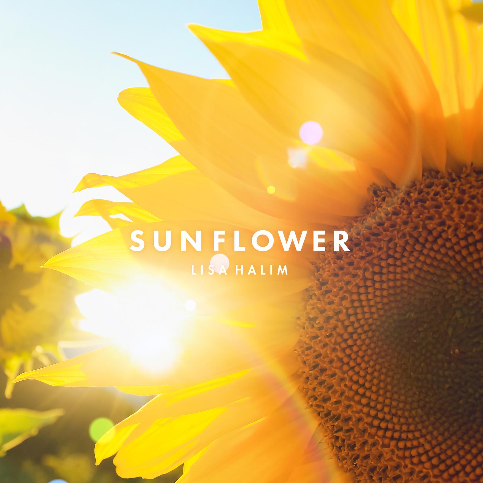 SUNFLOWER (Instrumental)
