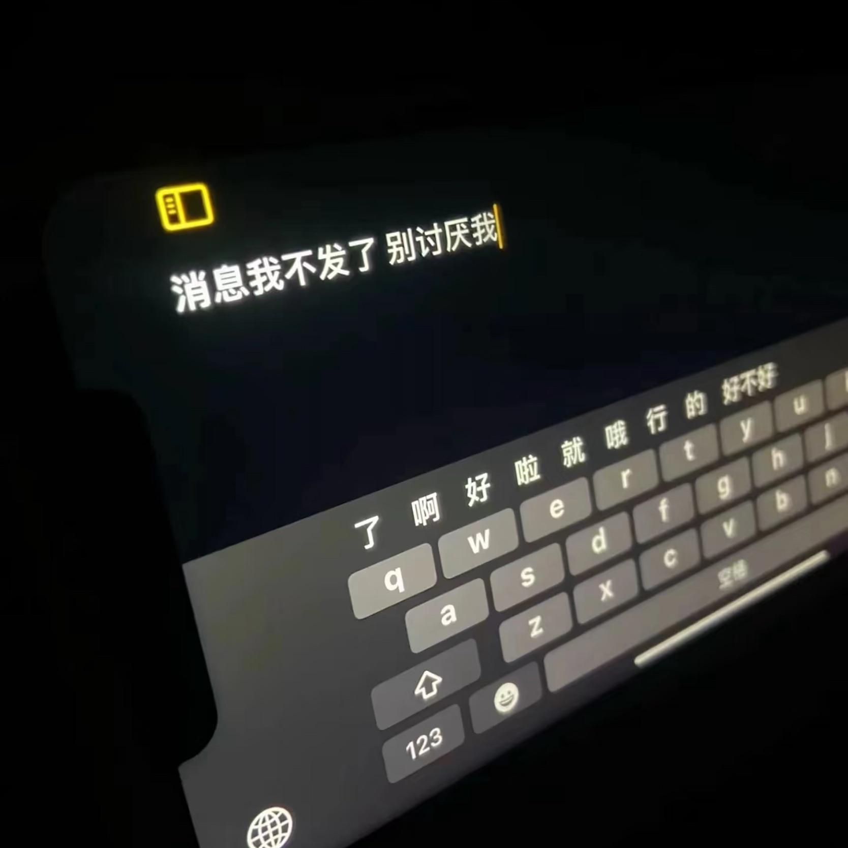 茶花开了该回家了加木王睿卓封面