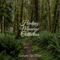 Healing Massage Collection