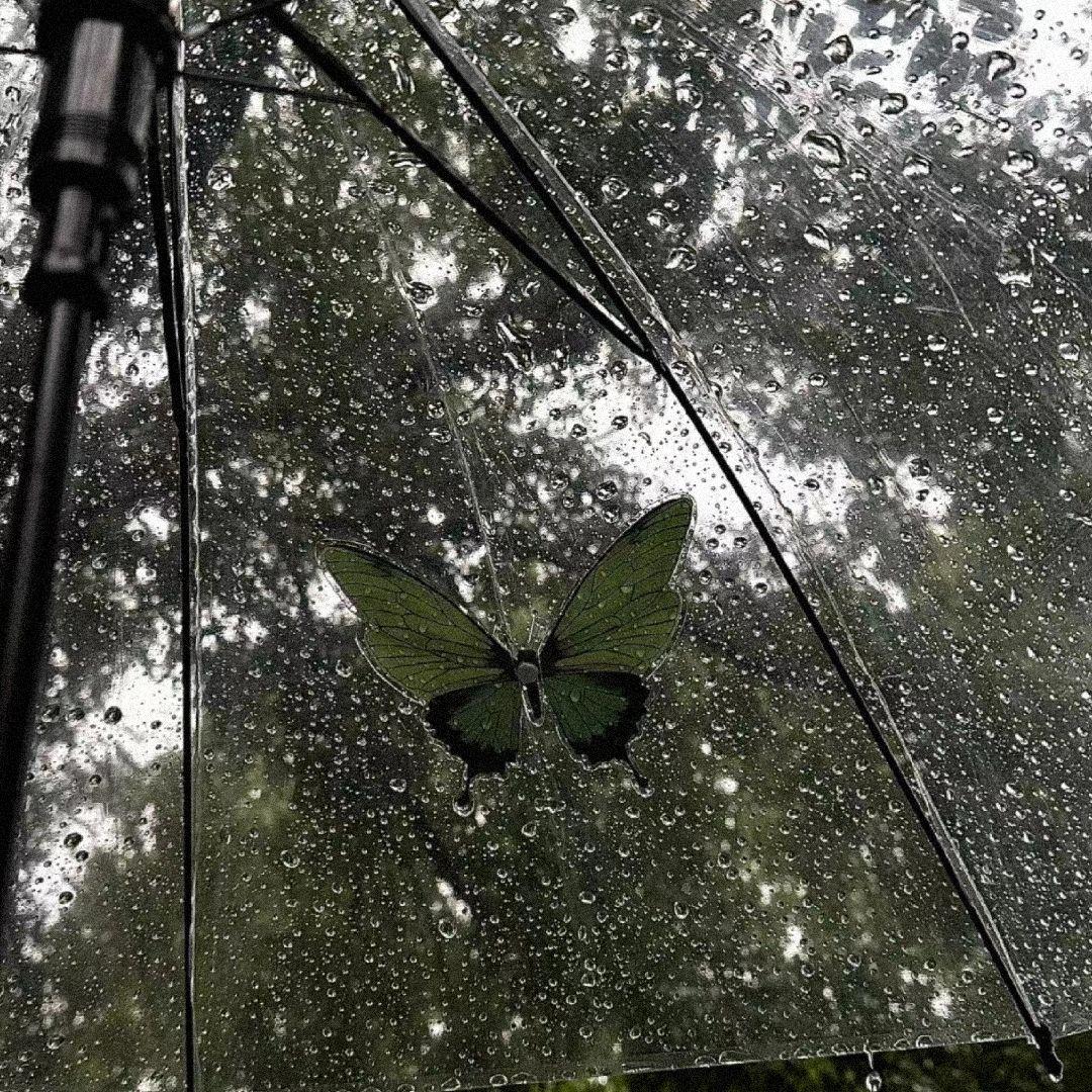 爱如雨中耽溺的蝴蝶…
