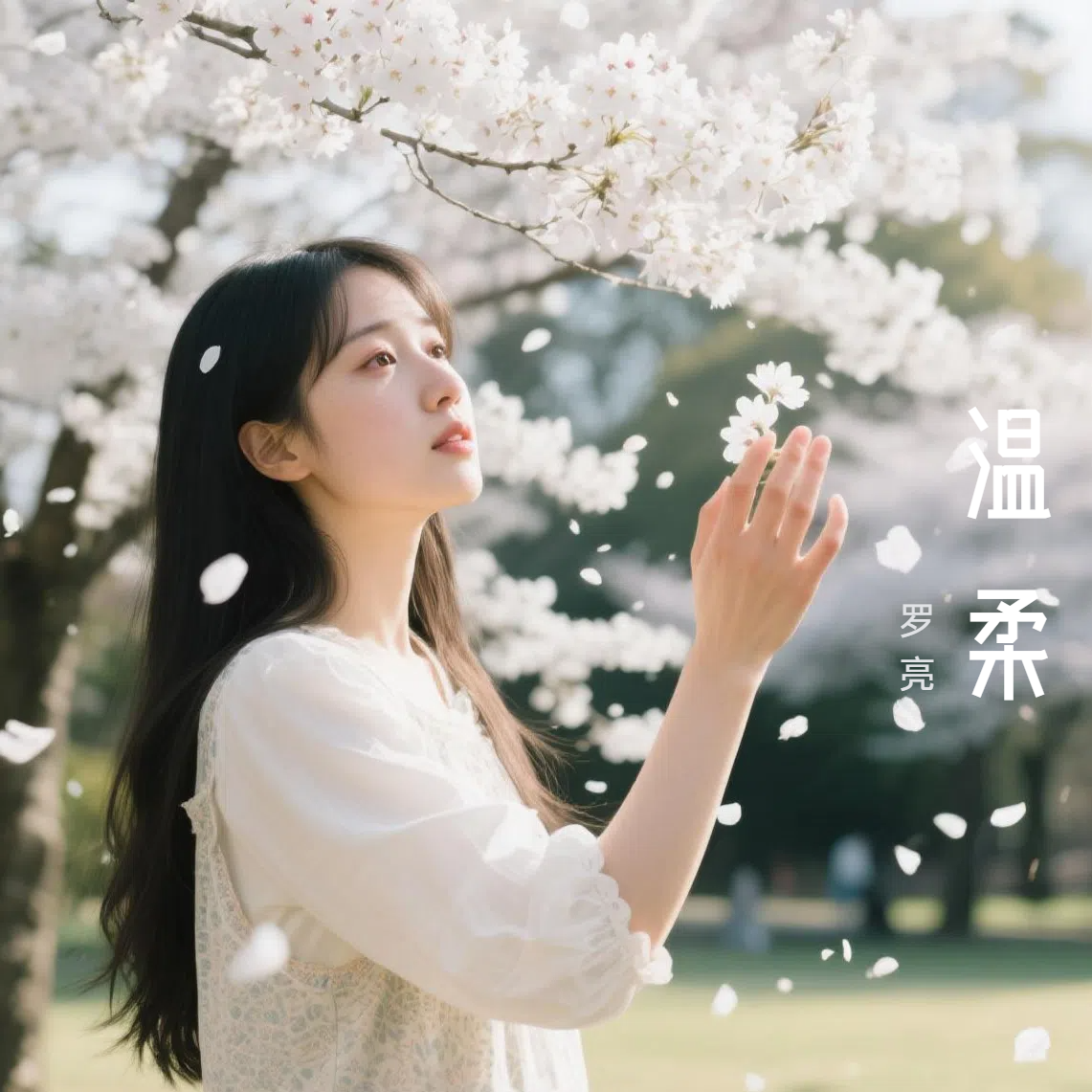 温柔封面