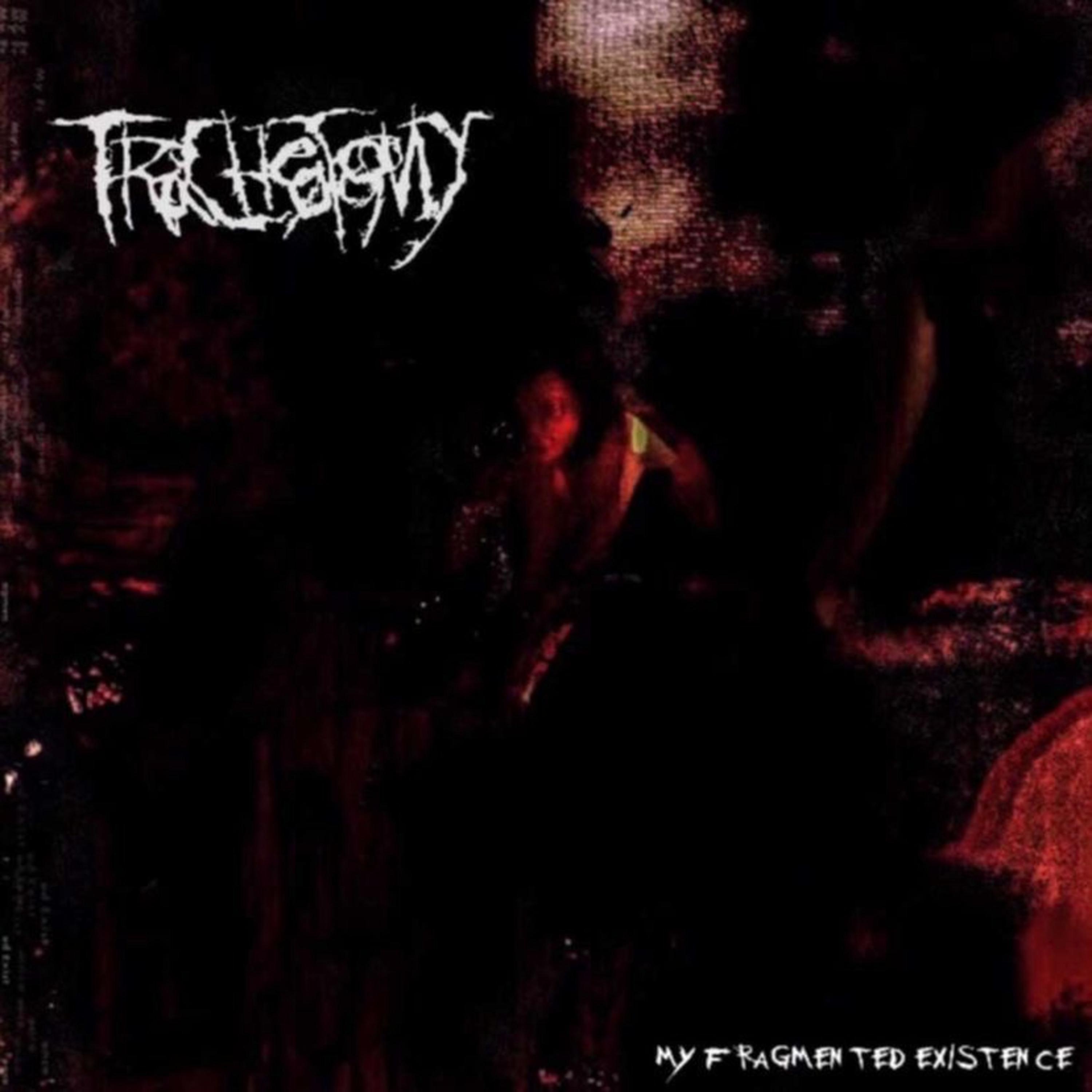 My Fragmented Existence