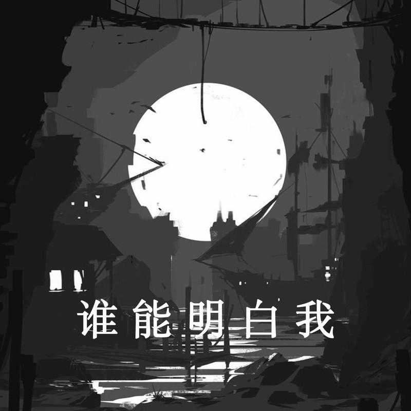 谁能明白我 (DJ版)封面