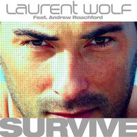 Survive (feat. Andrew Roachford)