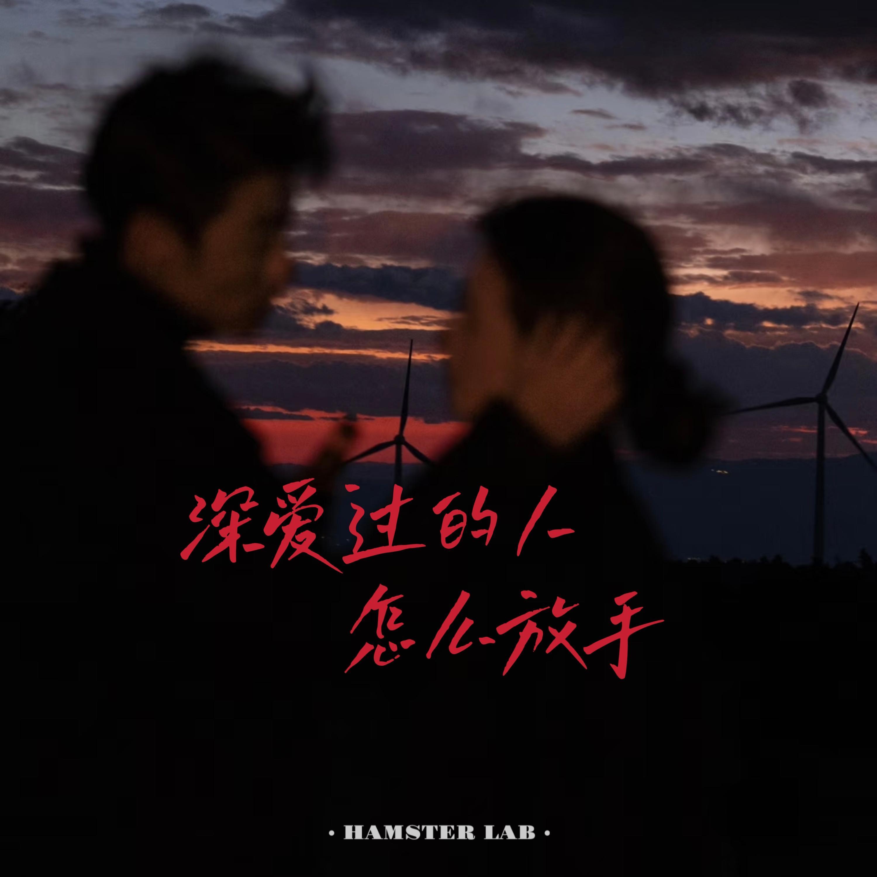 深爱过的人怎么放手 - R&B深情女版封面