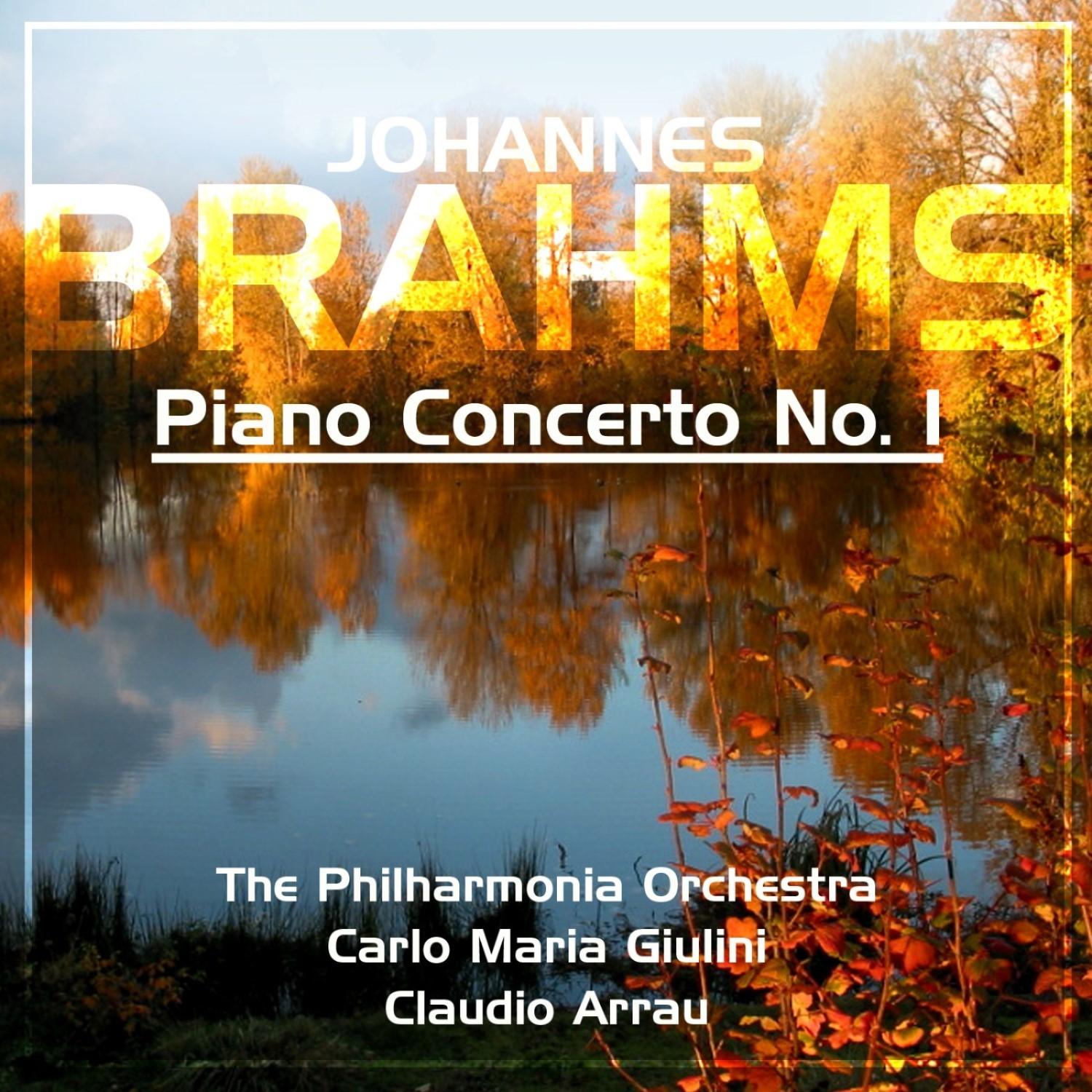 Piano Concerto No. 1 in D Minor, Op. 15: III. Rondo (Allegro non troppo) - Cadenza (quasi Fantasia) - A tempo - Meno mosso - Piu animato - Cadenza - Tempo 1