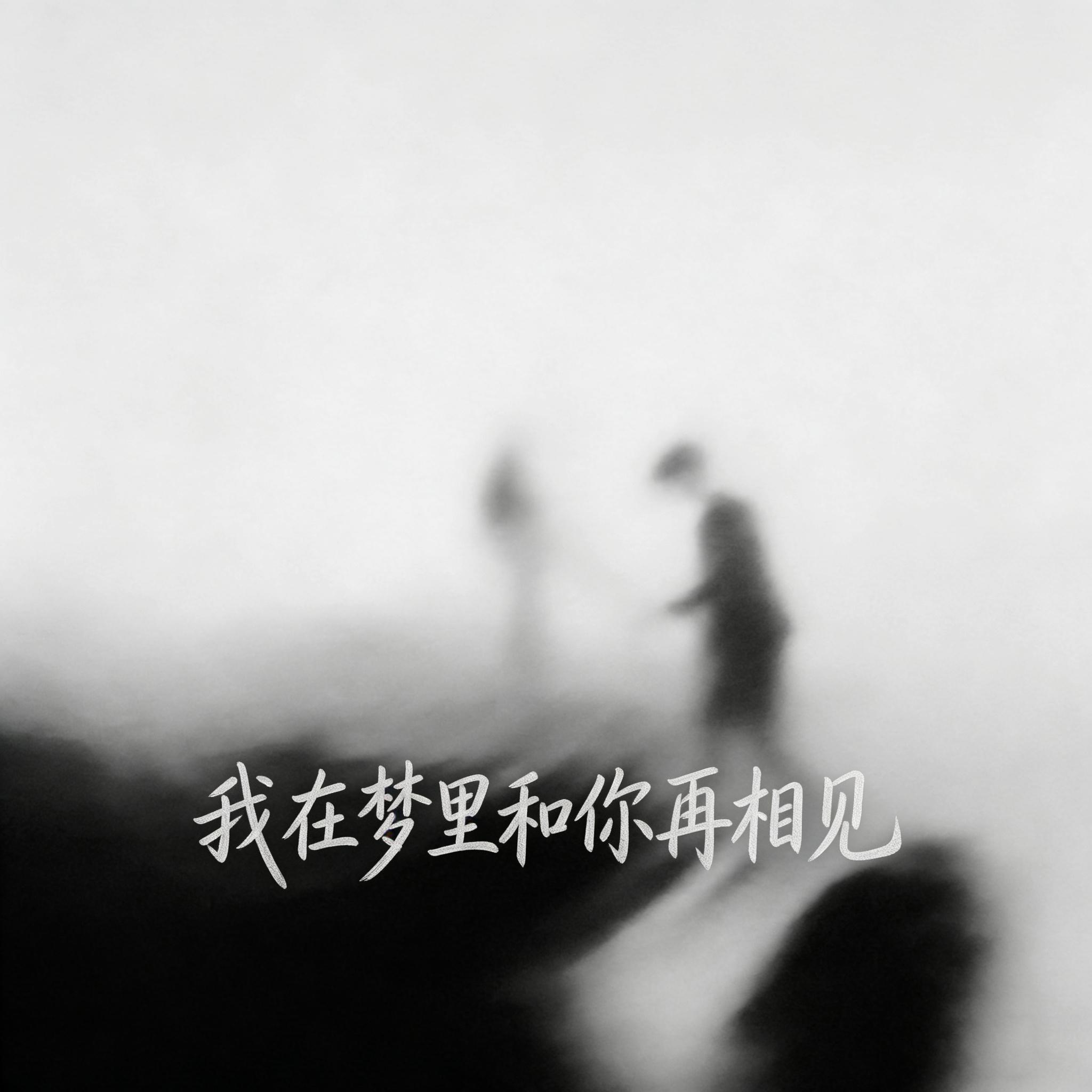 我在梦里与你再相见封面