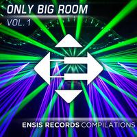 Only Big Room Vol. 1