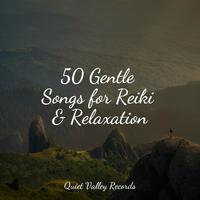 50 Gentle Songs for Reiki & Relaxation