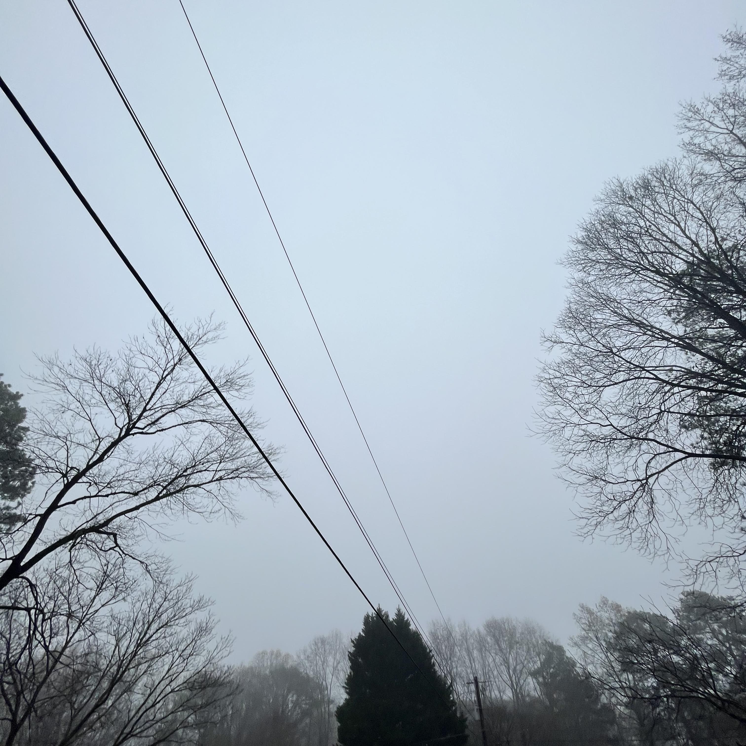 vibes from the himalayas 2